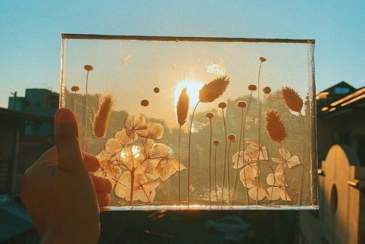 The Flower Prism by Jill Baniqued
